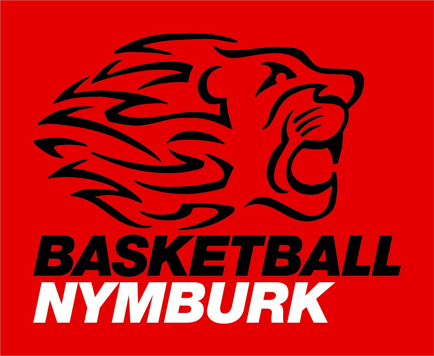ERA Basketball Nymburk logo